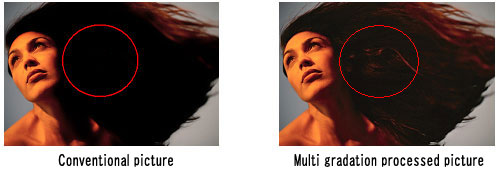 Conventional picture.Multi gradation processed picture.