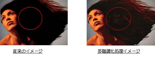 低輝度多階調化処理 イメージ