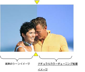 ナチュラルカラーチューニング イメージ