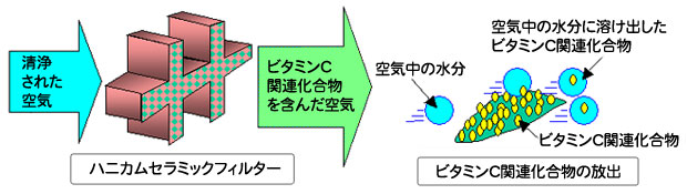 ハニカムセラミックフィルターに、清浄された空気を送風することにより、ビタミンC関連化合物が空気中の水分に溶け出し放出されます。