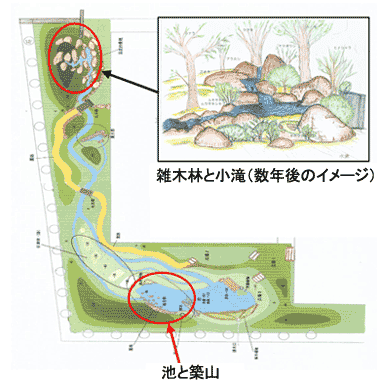 雑木林と小滝（数年後のイメージ図）