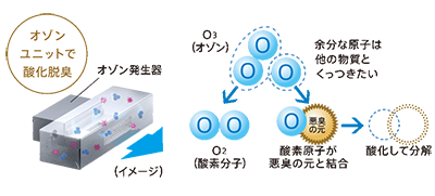 オゾンユニット内では、余分な原子は他の物質とくっつきたいオゾンが、酸素分子と酸素原子が悪臭の元と融合します。また、これは酸化分解し脱臭します。