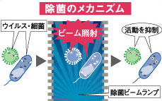 除菌のメカニズム説明イメージ図