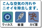 こんな空気の汚れやニオイを除去します。（ウィルス、細菌、カビ菌）