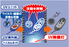 ウィルス、細菌がUVユニットを通過する効果のイメージ図