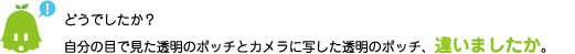 [ノックさん] ：どうでしたか？自分の目で見た透明のポッチとカメラに写した透明のポッチ、違いましたか。