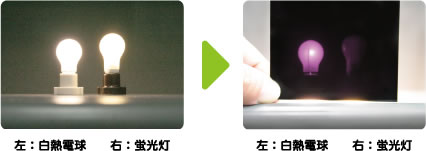 [実験道具] ：左の白熱電球と右の蛍光灯を赤外線透過フィルムを通して見た画像。左の白熱電球はよく見えるが、右の蛍光灯は見えづらい。
