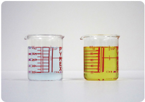 [写真] ：実験の様子