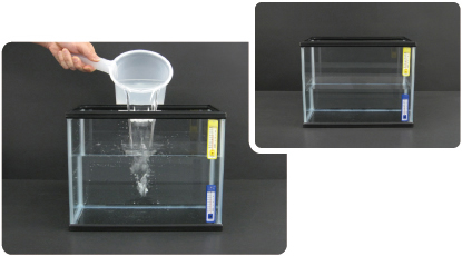 [写真] ：実験の様子