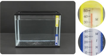 [写真] ：実験の様子