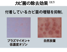 カビ菌の除去効果（注7）：付着しているカビ菌の増殖を抑制。プラズマイオンプラス低濃度オゾンと自然放置の比較。