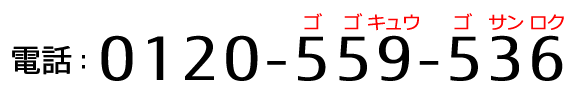 電話 : 0120-559-536