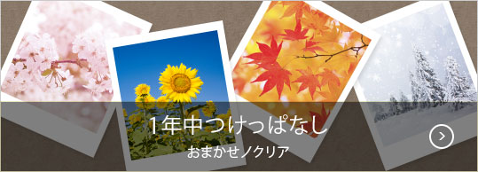 一年中つけっぱなし おまかせノクリア