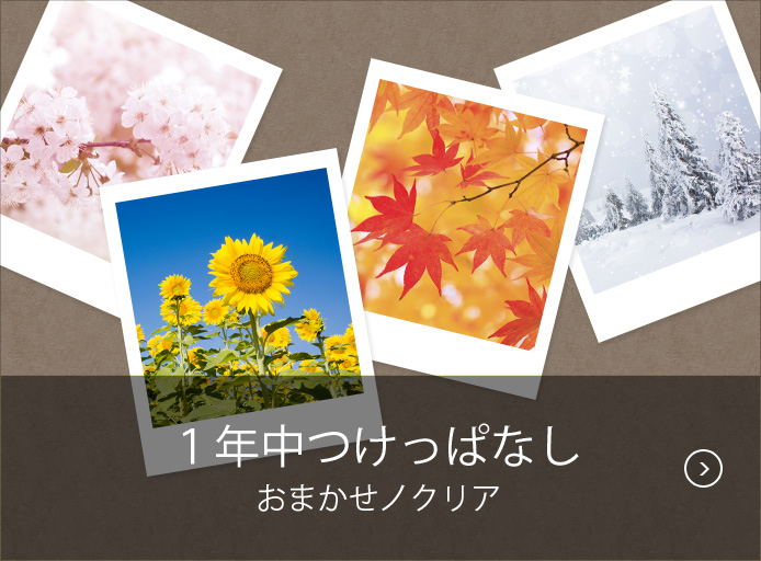 １年中つけっぱなし おまかせノクリア&reg;