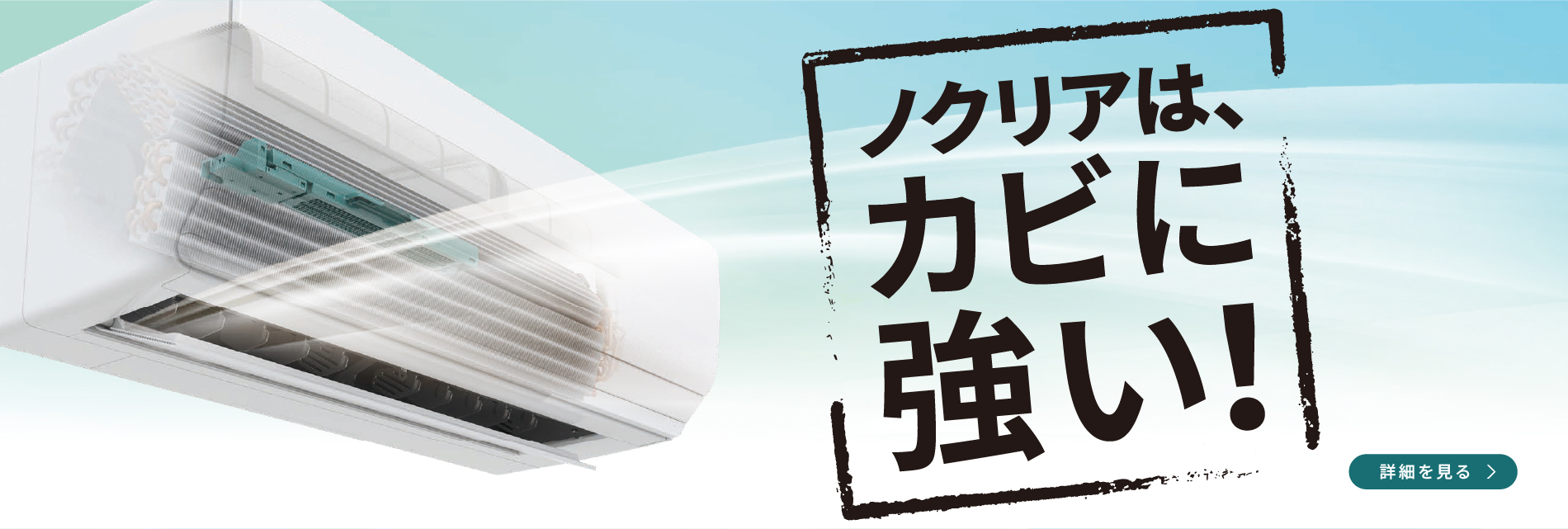 カビに強いノクリア