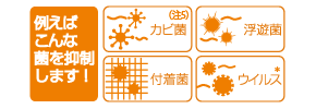 例えばこんな菌を抑制します！・カビ菌（注5）・浮遊菌・付着菌・ウイルス*