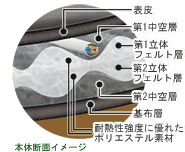 本体断面図（イメージ）