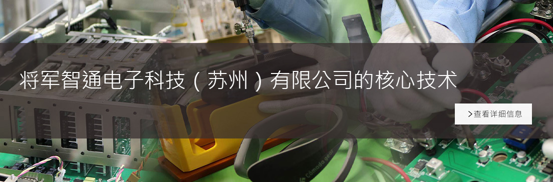 配合客户需求，与日本将军电子合作，以产品的设计开发为首，从零件采购、生产到品质管理，利用日系合作企业以及日系合作工厂进行生产制造，以国内生产、低成本、短交期为目标。