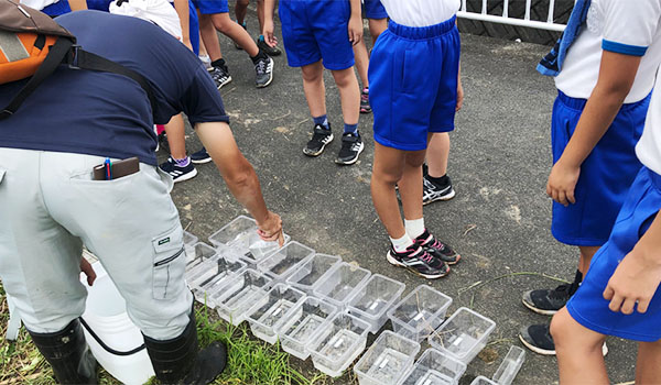 ヤリタナゴ放流の様子