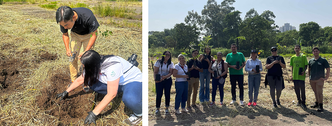 ブラジル サンパウロ州で植樹活動に参加する様子